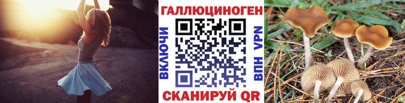 Галлюциногенные грибы ЛСД  Карачев 